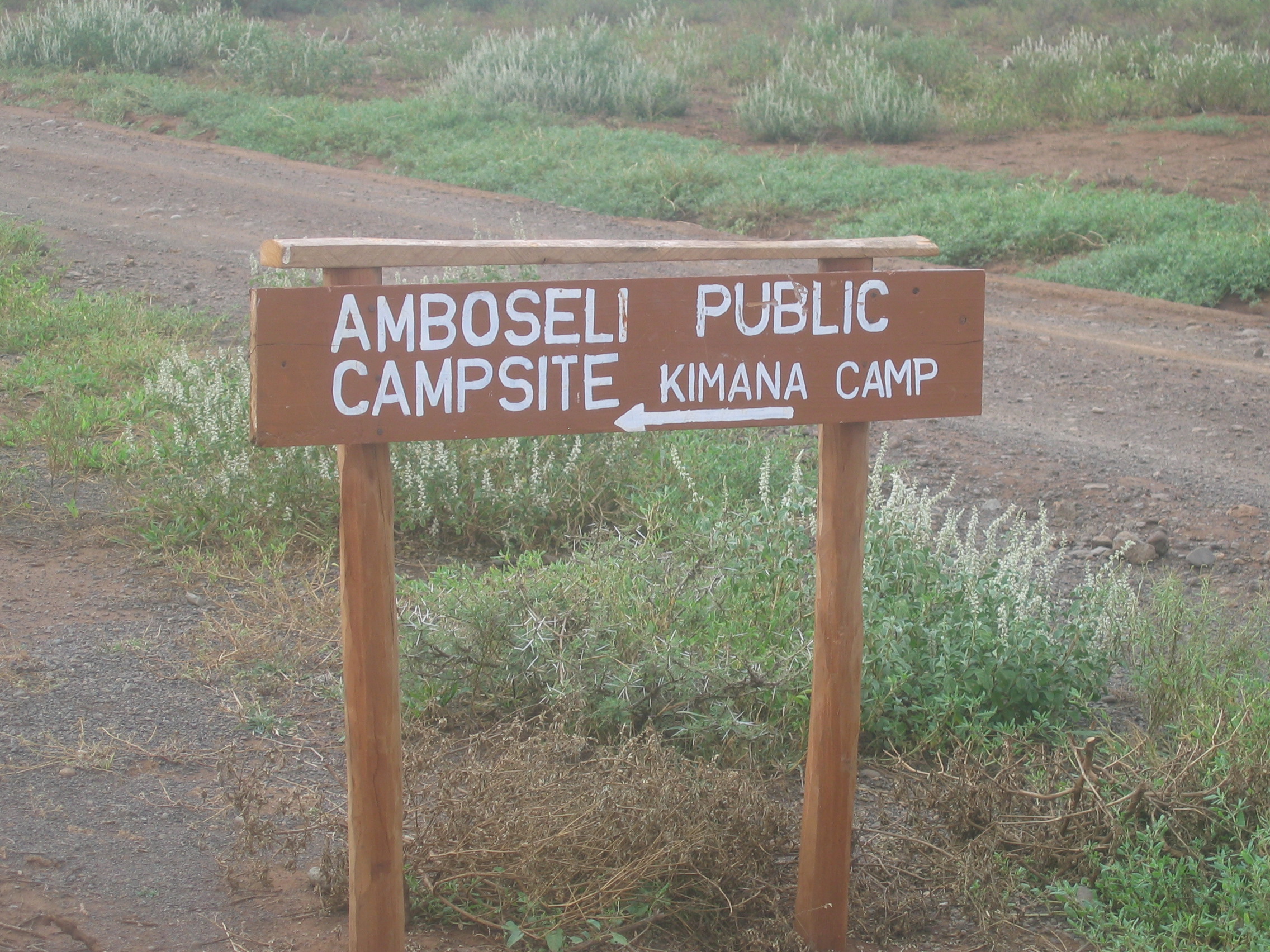 Kimana Camp – Amboseli National Park – Kenya