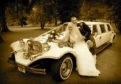 Top Ethiopian Wedding Photographers & Limousines