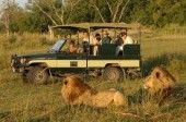 Top Kenya Safari Tour