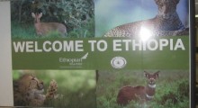 Addis Ababa Realtors and Real Estate Addis Ababa Realtors and Real Estate